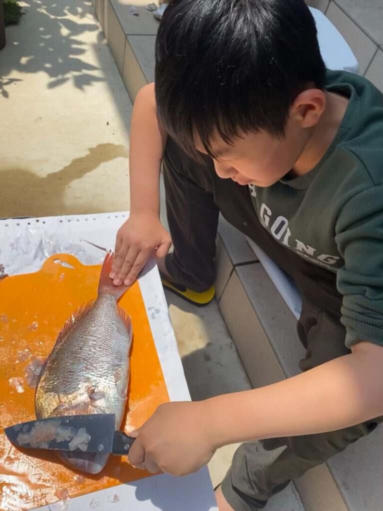 86173E1D 01A3 461F 904A 1F98FBF9EC6A 768x1024